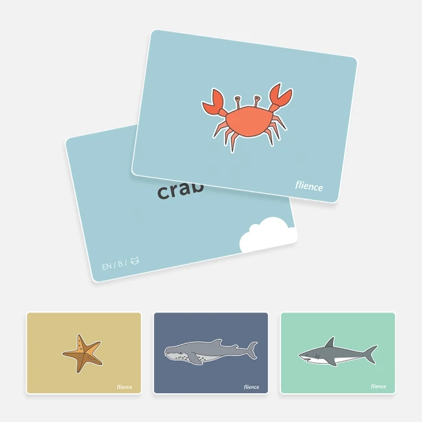 shop_mockup_cardfly_animals-sea_001_A_cover.png