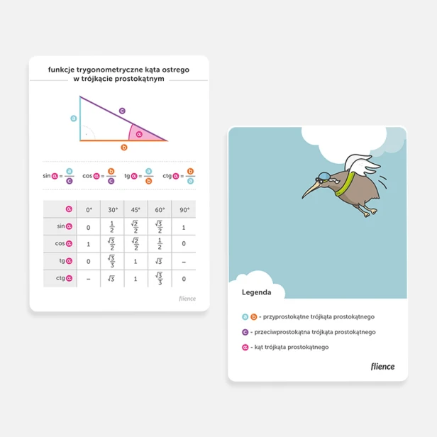shop_mockup_values-of-trigonometric-function-for-a-right-triangle_pl.jpg